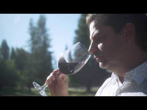 Vinos Sutil Mix Box Limited Release Premium