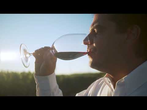 Vino Acrux Súper Premium Blend Estuche Madera