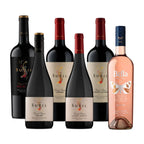 Vinos Sutil Mix Box Gran Reserva
