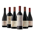 Vinos Sutil Mix Box Premium Selección